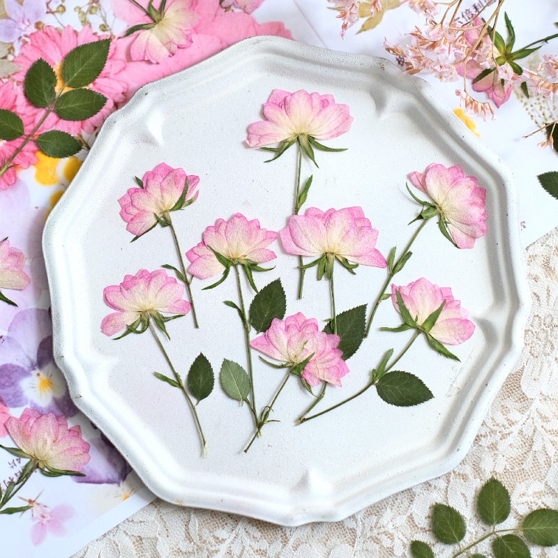 Resin Craft Ideas - 12 Piezas de Flores Secas Prensadas