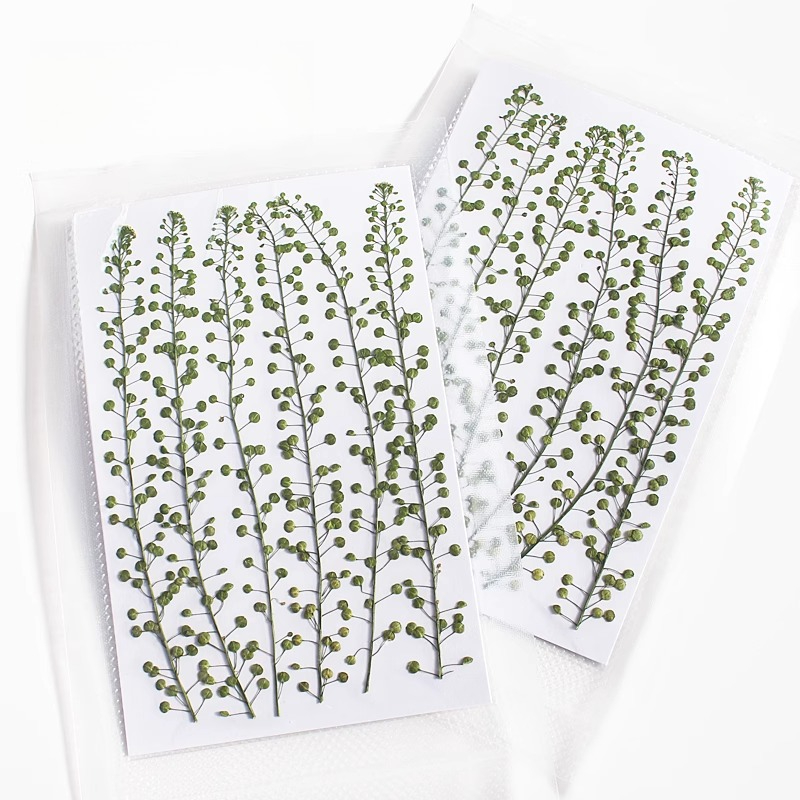 Campana verde de Color Natural - Resin Craft Ideas reseña y precio