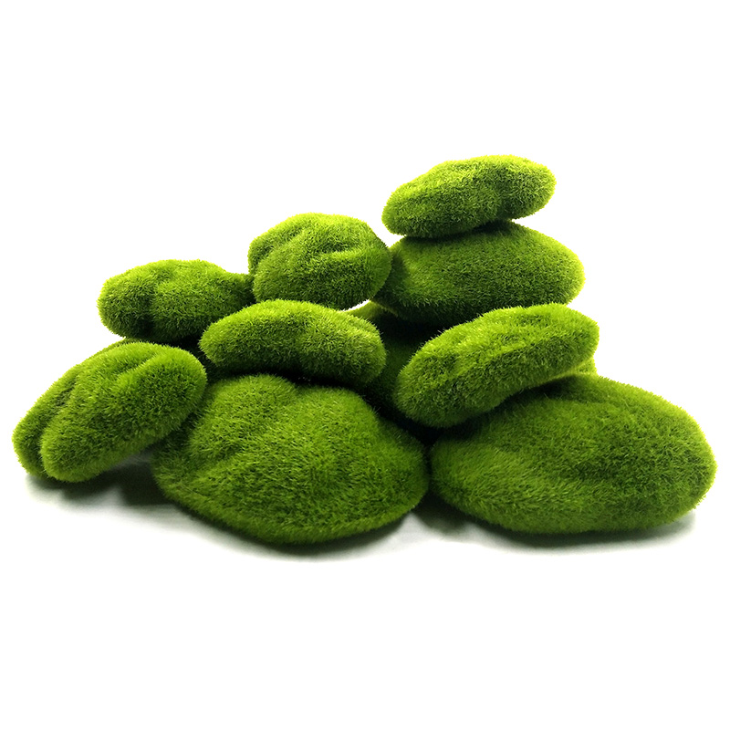 Plantas de musgo de espuma de  - Terrarium Moss Art reseña y precio