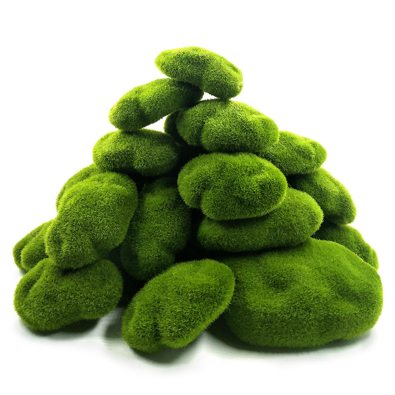 Plantas de musgo de espuma de  - Terrarium Moss Art reseña y precio