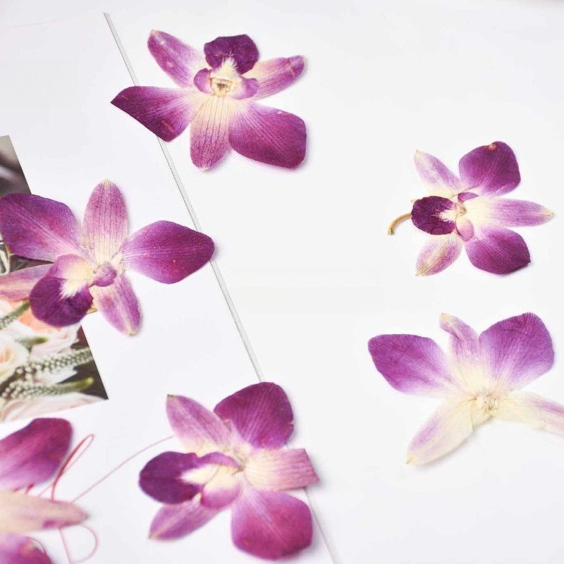 4 piezas, Flores de Orquídea M - Resin Craft Ideas reseña y precio