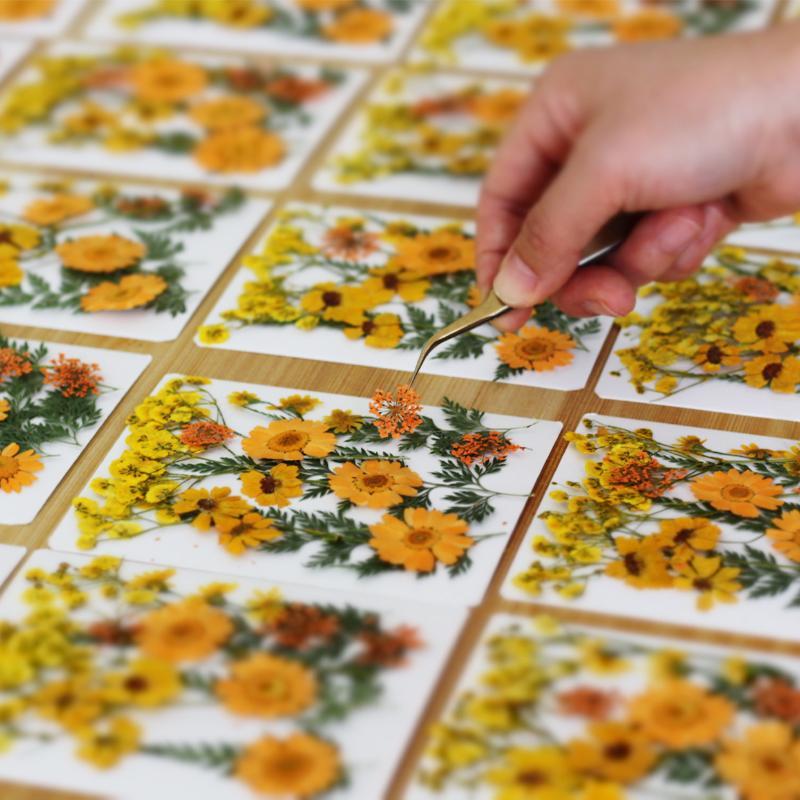 Flores de Plantas Secas Prensa - Resin Craft Ideas reseña y precio