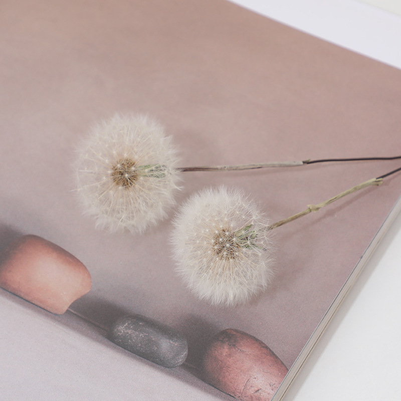 Kit de Manualidades con Resina - Crafting Resin reseña y precio
